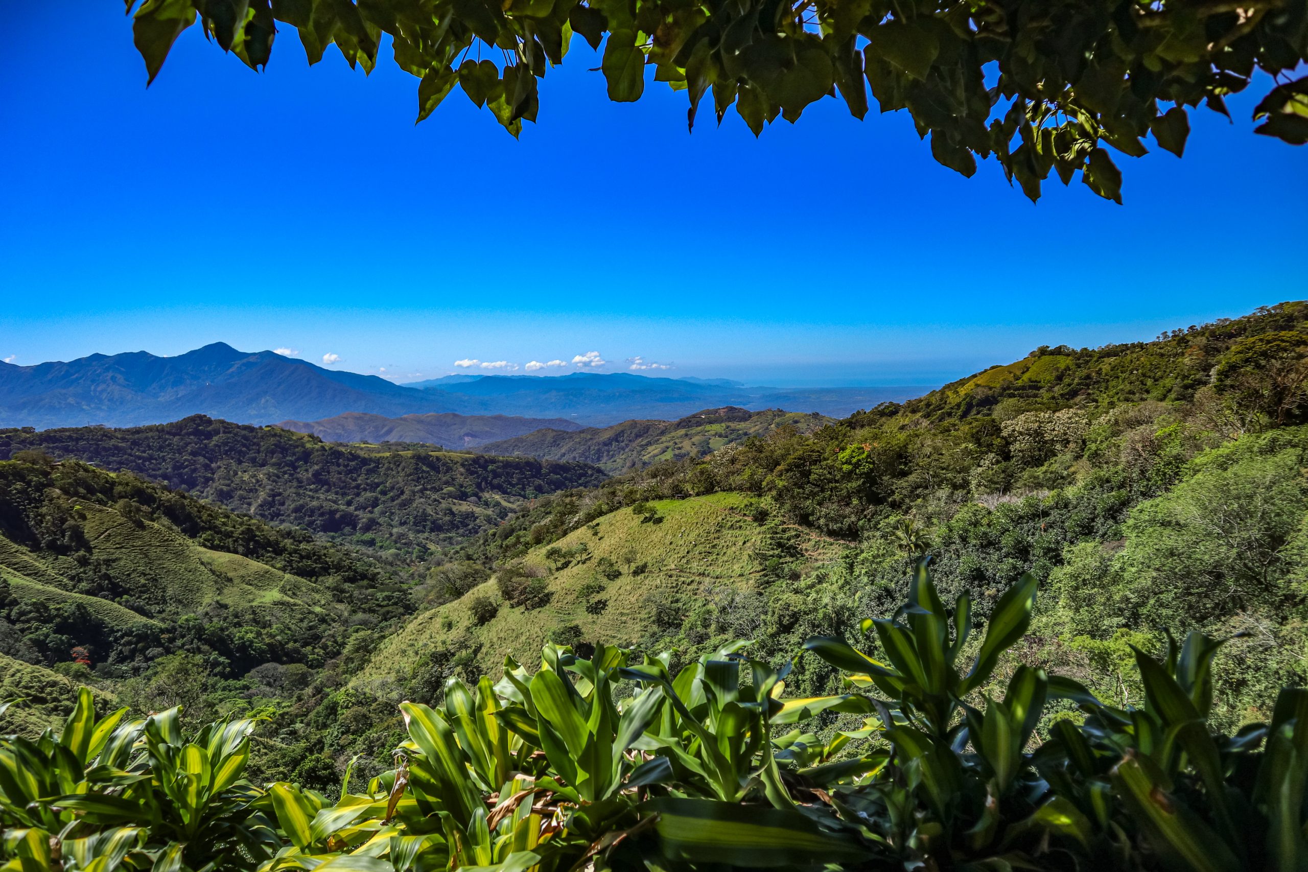 Bienvenido a Costa Rica 🇨🇷 – Ankunft im tropischen Sommer