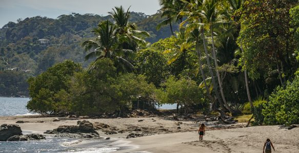 Cabuya in Costa Rica: Ankommen zwischen Dschungel, Meer und wilden Tieren