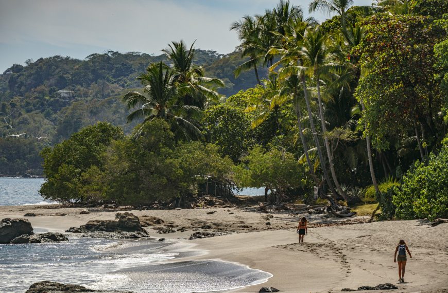 Cabuya Costa Rica