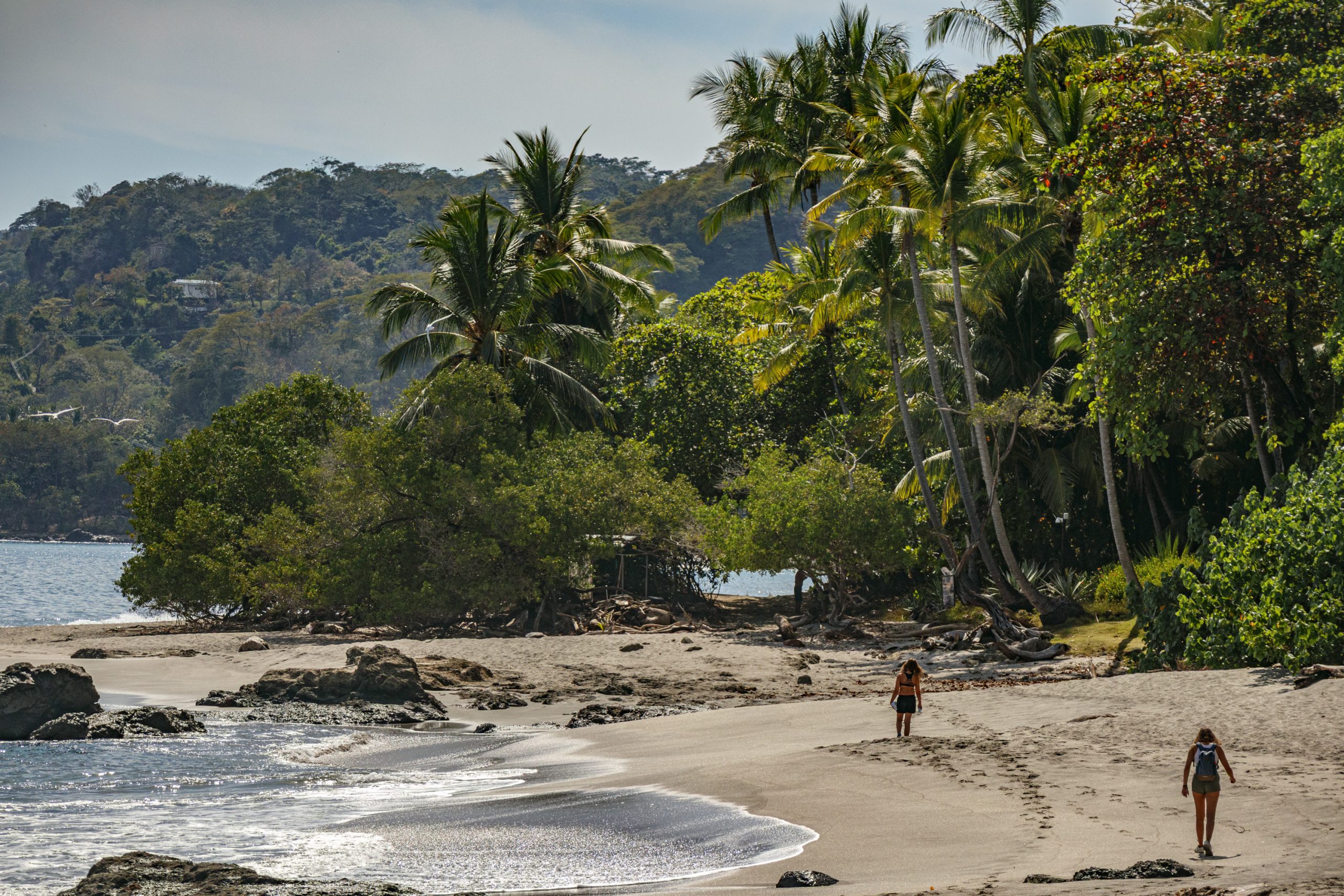 Cabuya in Costa Rica: Ankommen zwischen Dschungel, Meer und wilden Tieren