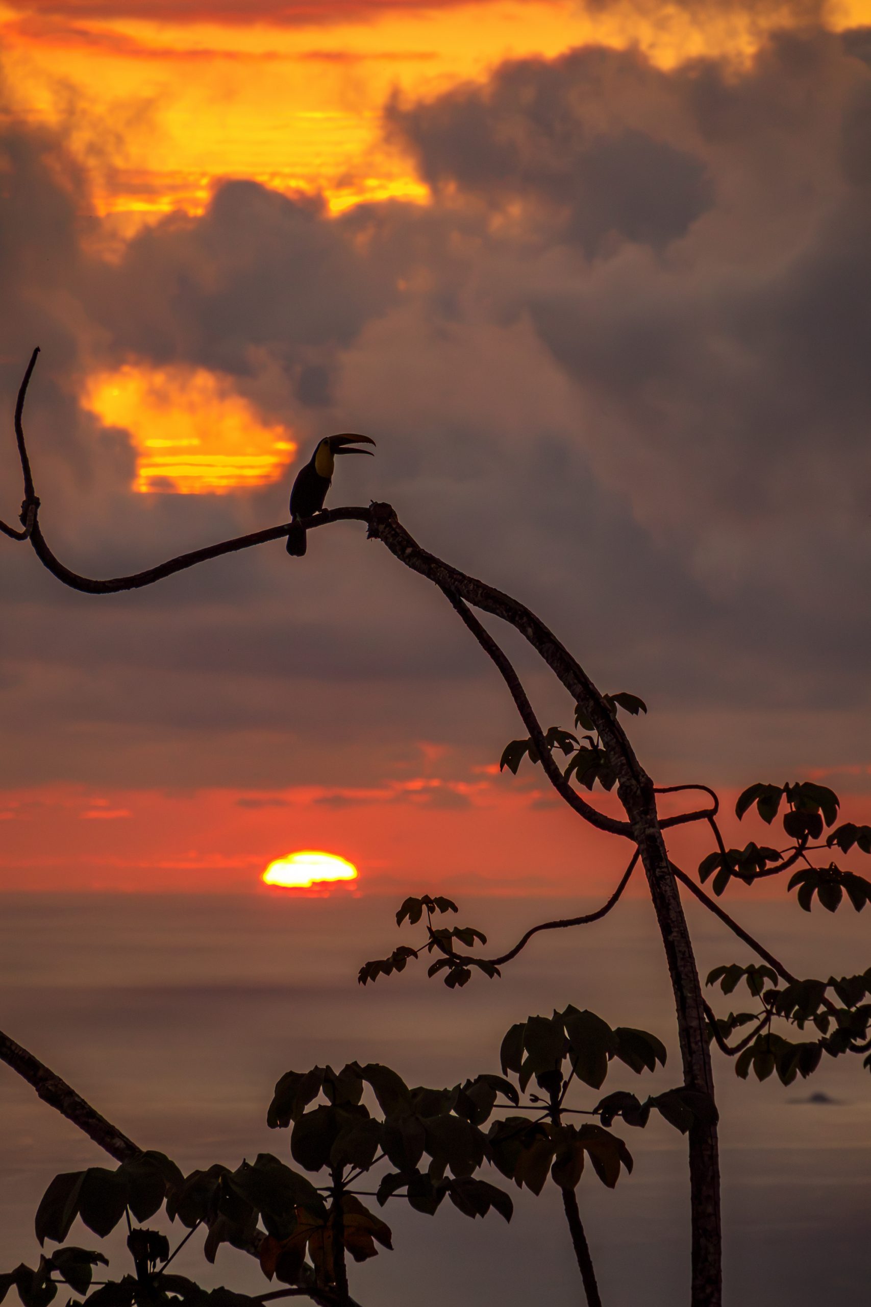 Portalón Costa Rica