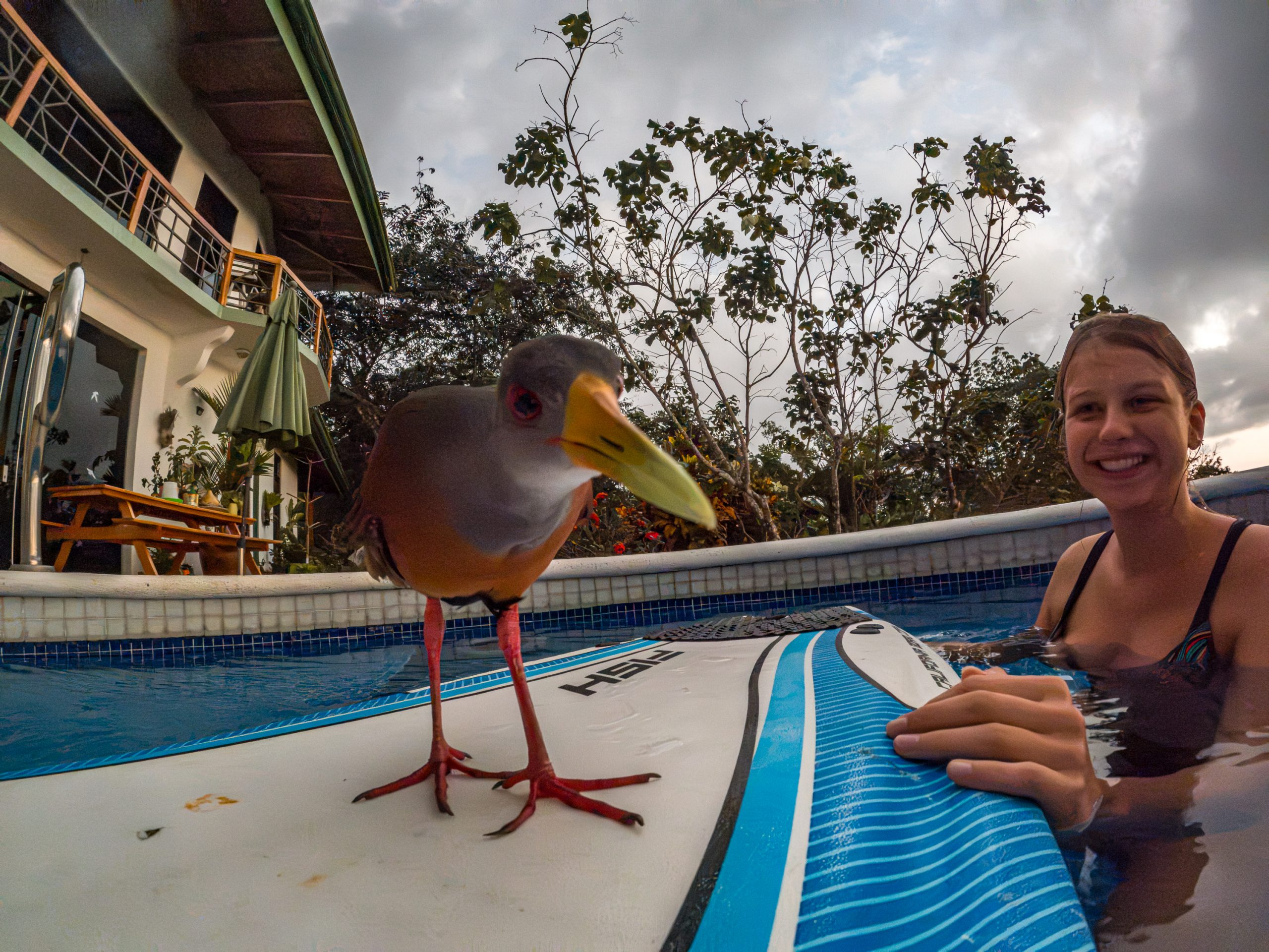 Portalón Costa Rica
