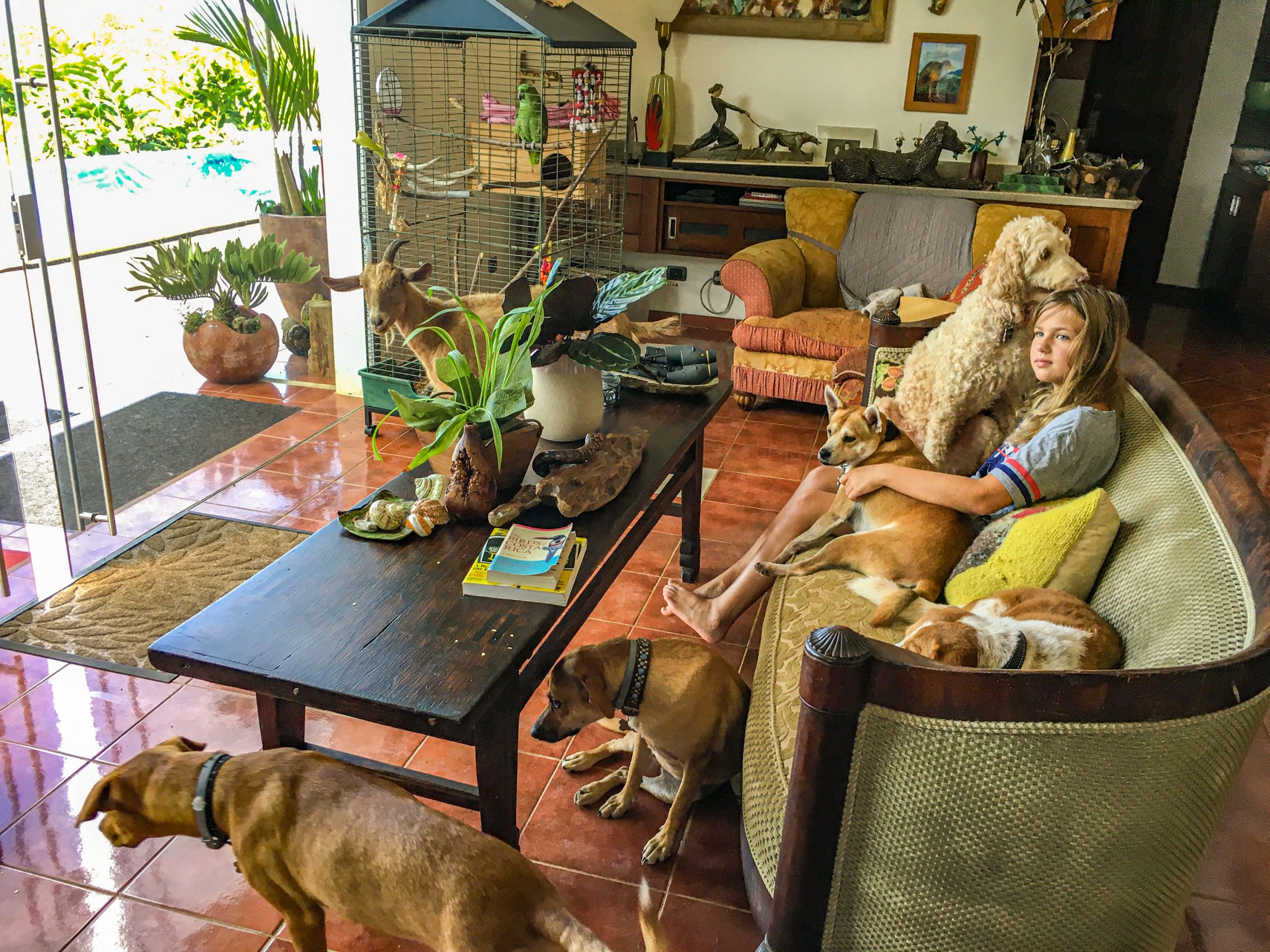 Portalón Costa Rica
