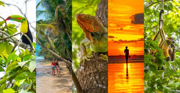 Costa Rica Reiseberichte – neun Wochen Pura Vida