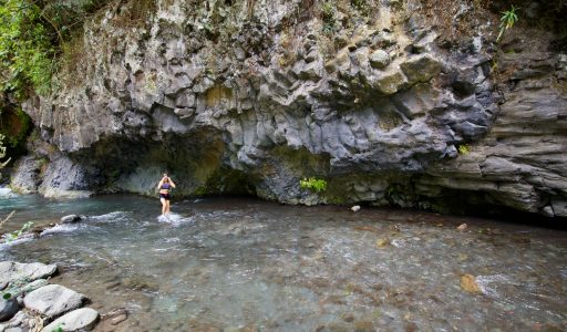 26.12.: Unsere Weihnachtsüberraschung oder die Suche nach dem Arche Naturelle