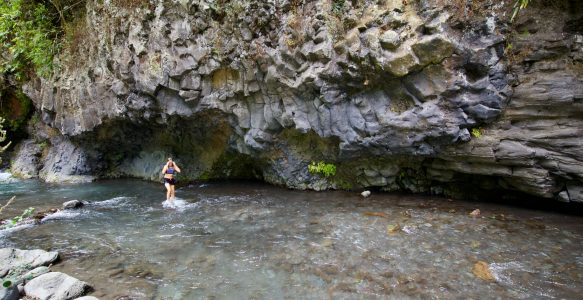 26.12.: Unsere Weihnachtsüberraschung oder die Suche nach dem Arche Naturelle