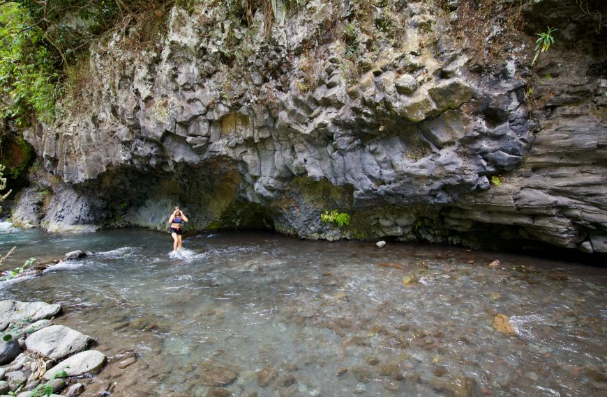 Arche Naturelle Réunion