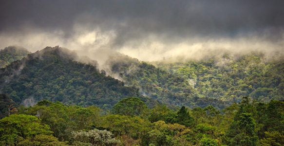 Parque Nacional Volcán Arenal: 274 km und 7,5 Stunden später