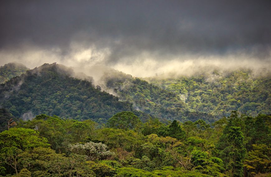 Parque Nacional Volcán Arenal: 274 km und 7,5 Stunden später