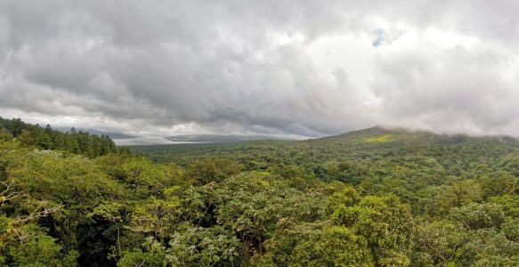 Wir erinnern uns: Wir sind im Regenwald… Na das erklärt alles!