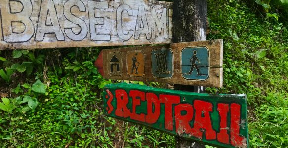 Von zerstörten Träumen und uralten Ärzten