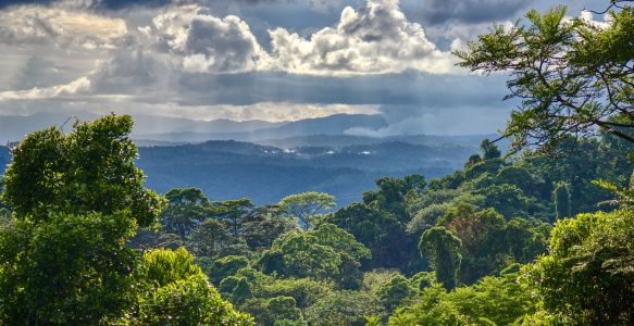 In the jungle, the mighty jungle… the family sleeps tonight… dadamdada…🎶