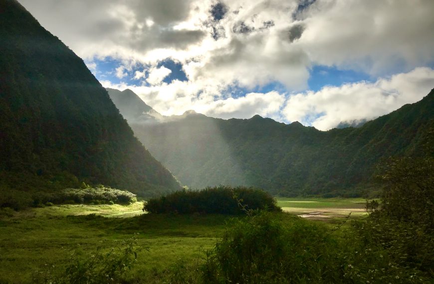 Grand Étang Réunion