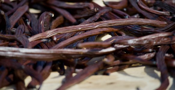 Warum ist echte Bourbon Vanille im Edeka-Regal so wahnsinnig teuer?