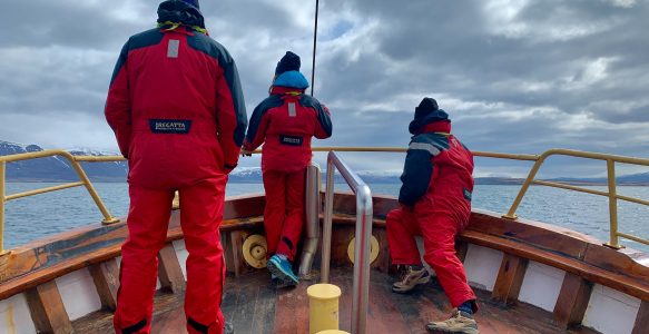 Let’s find the Humpbacks!