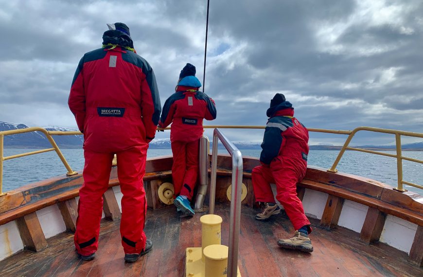 Let’s find the Humpbacks!