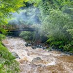 Reisebericht Halbinsel Izu - Japan