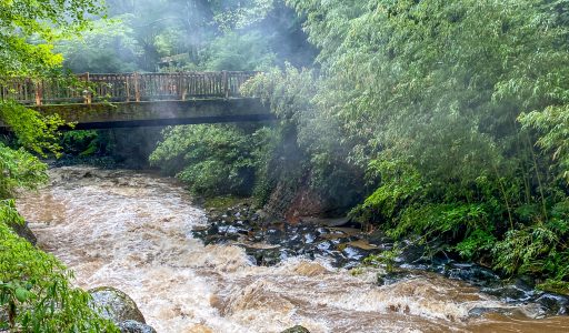 Reisebericht Halbinsel Izu - Japan