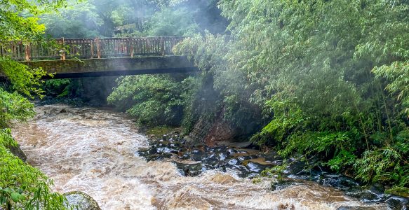 Izu – eine (Natur)-Katastrophe?