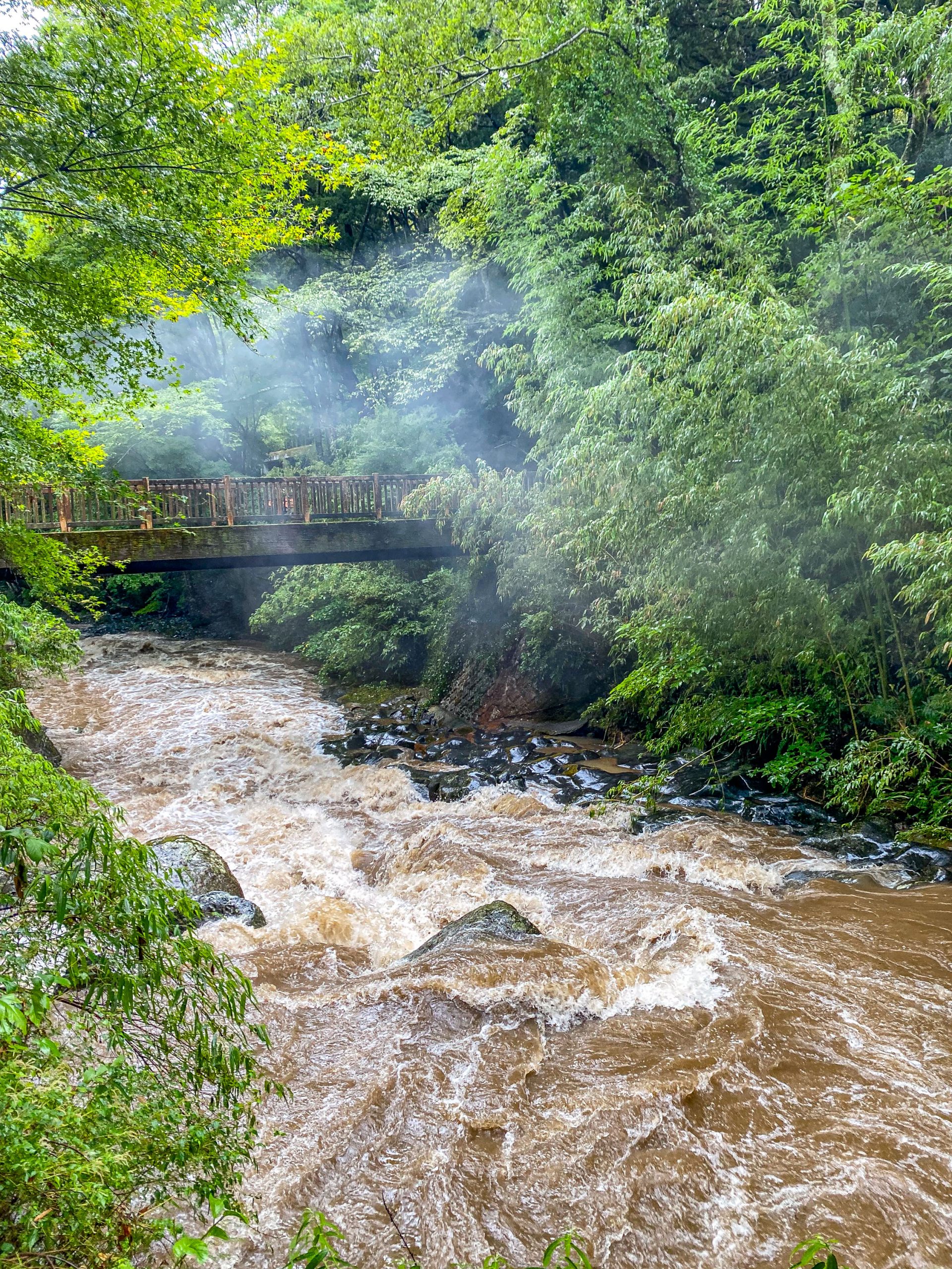 Izu – eine (Natur)-Katastrophe?