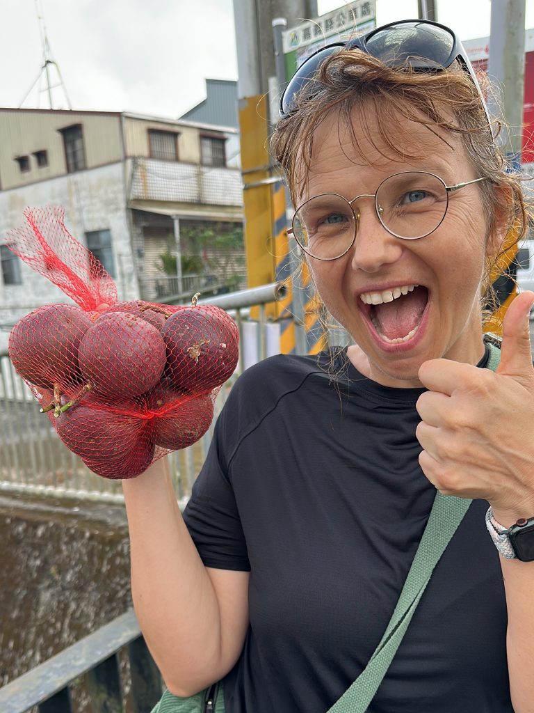 Alishan Gebirge Taiwan Erfahrungen