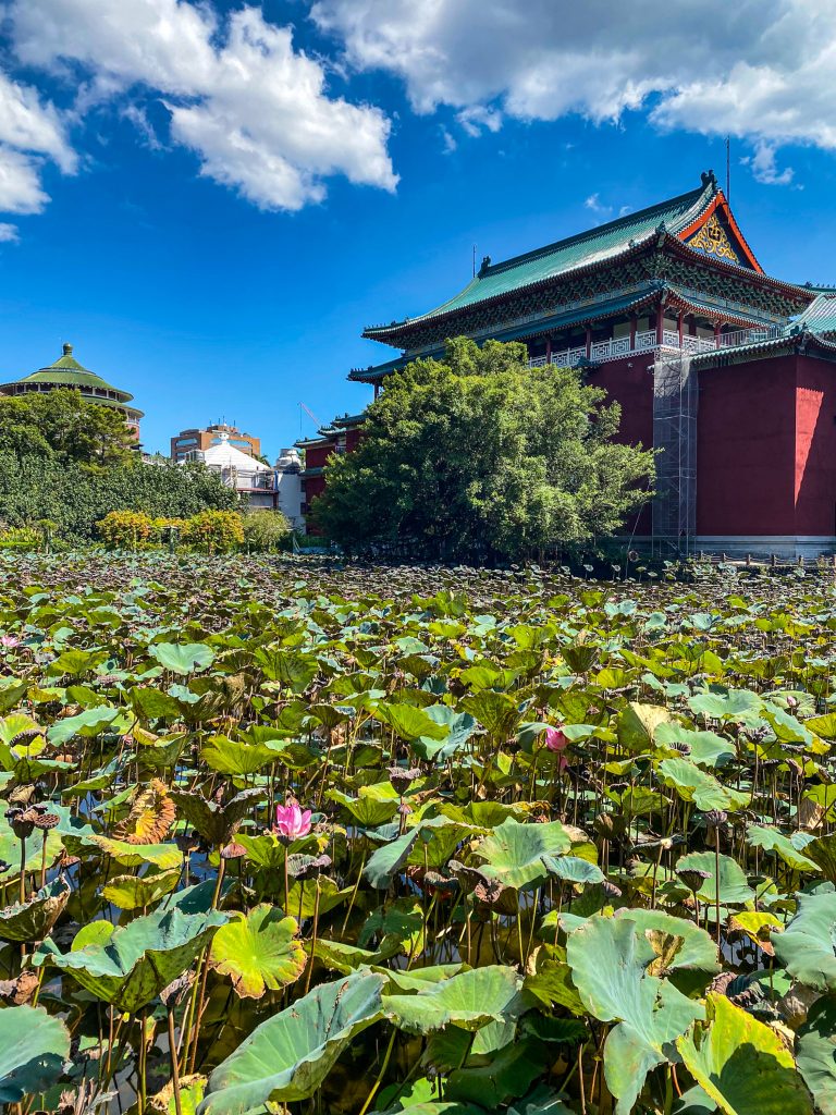 Taipeh Reiseerfahrungen