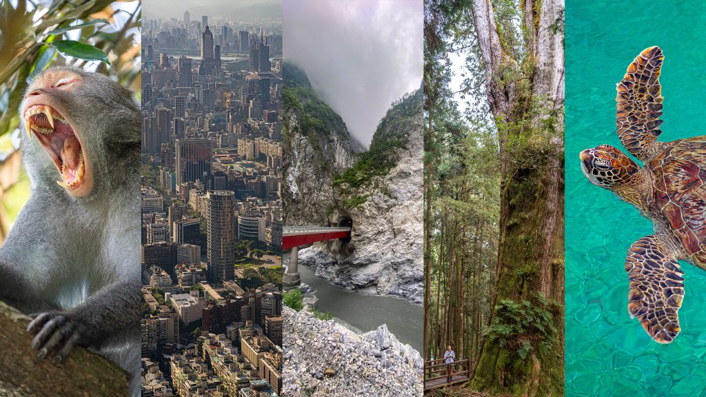 Taiwan Reiseerfahrungen