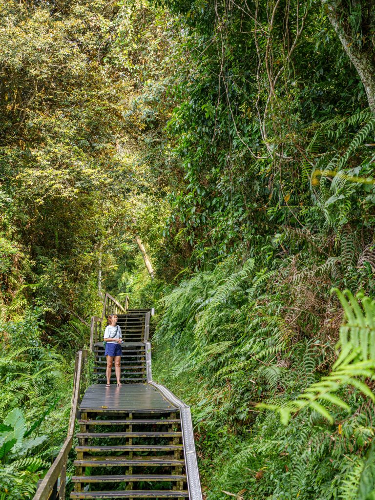 Sonne-Mond-See Taiwan Reisebericht