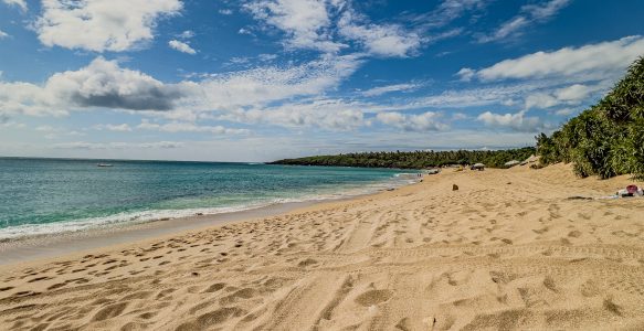 Kenting – Schildkröten, Schlangen und Drachenfrüchte