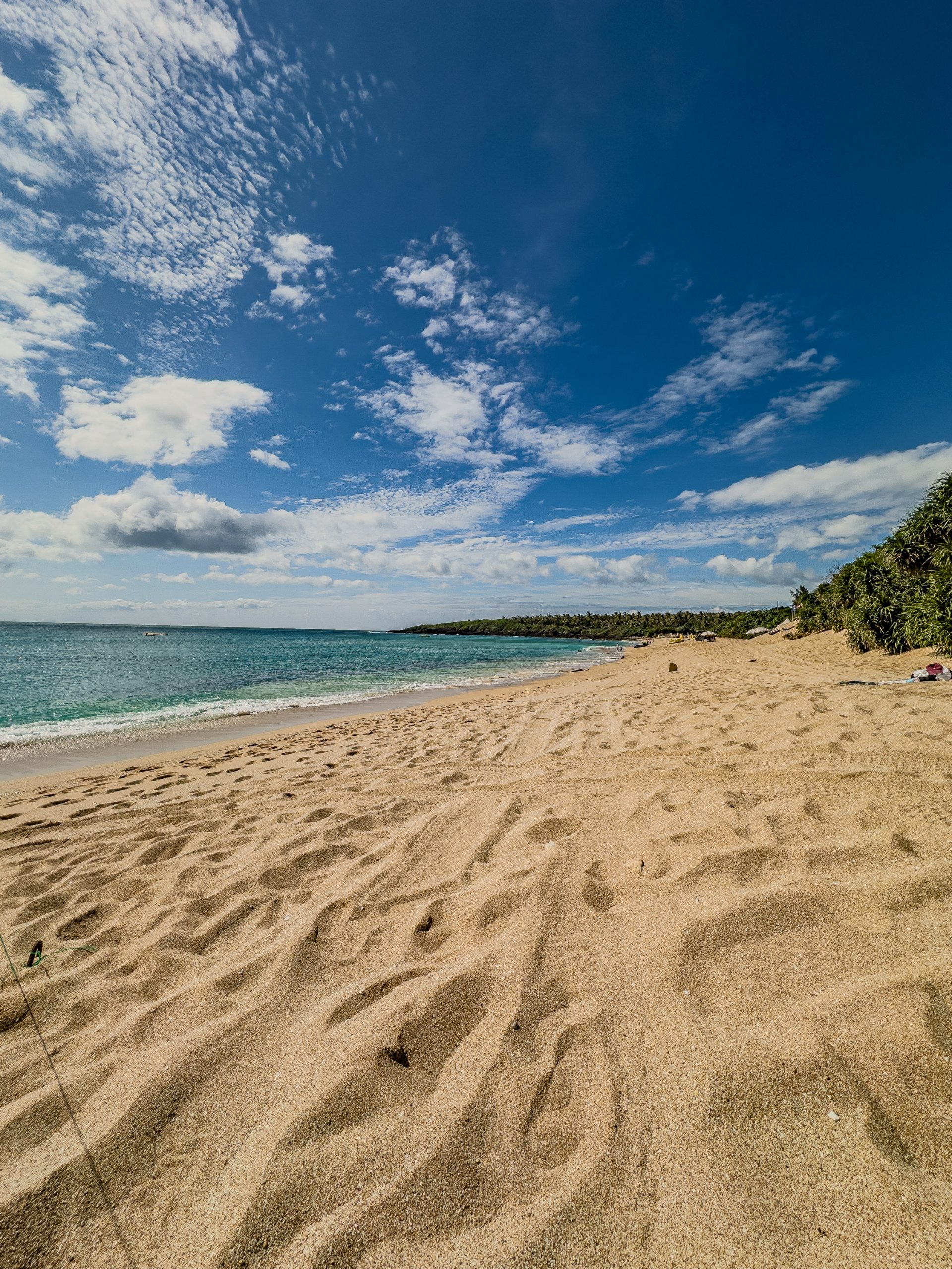 Kenting – Schildkröten, Schlangen und Drachenfrüchte