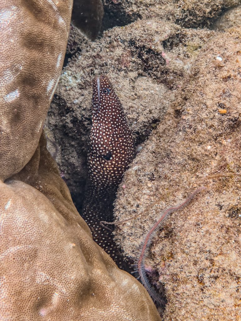 Kenting Taiwan Reisebericht