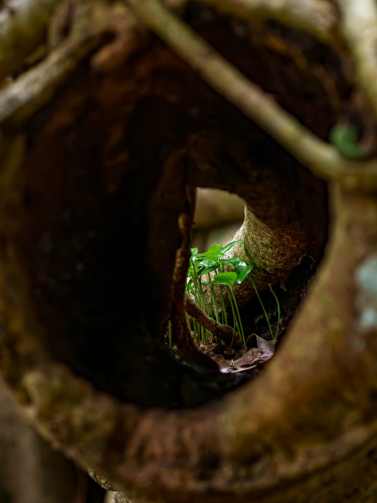 Kenting Taiwan Reisebericht