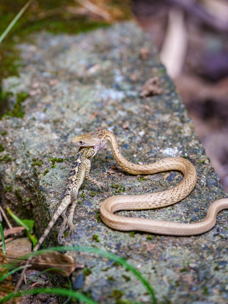 Kenting Taiwan Reisebericht