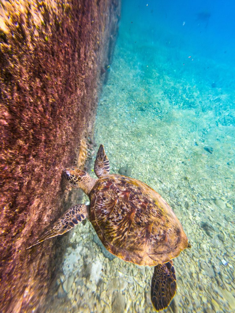 Kenting Taiwan Reisebericht