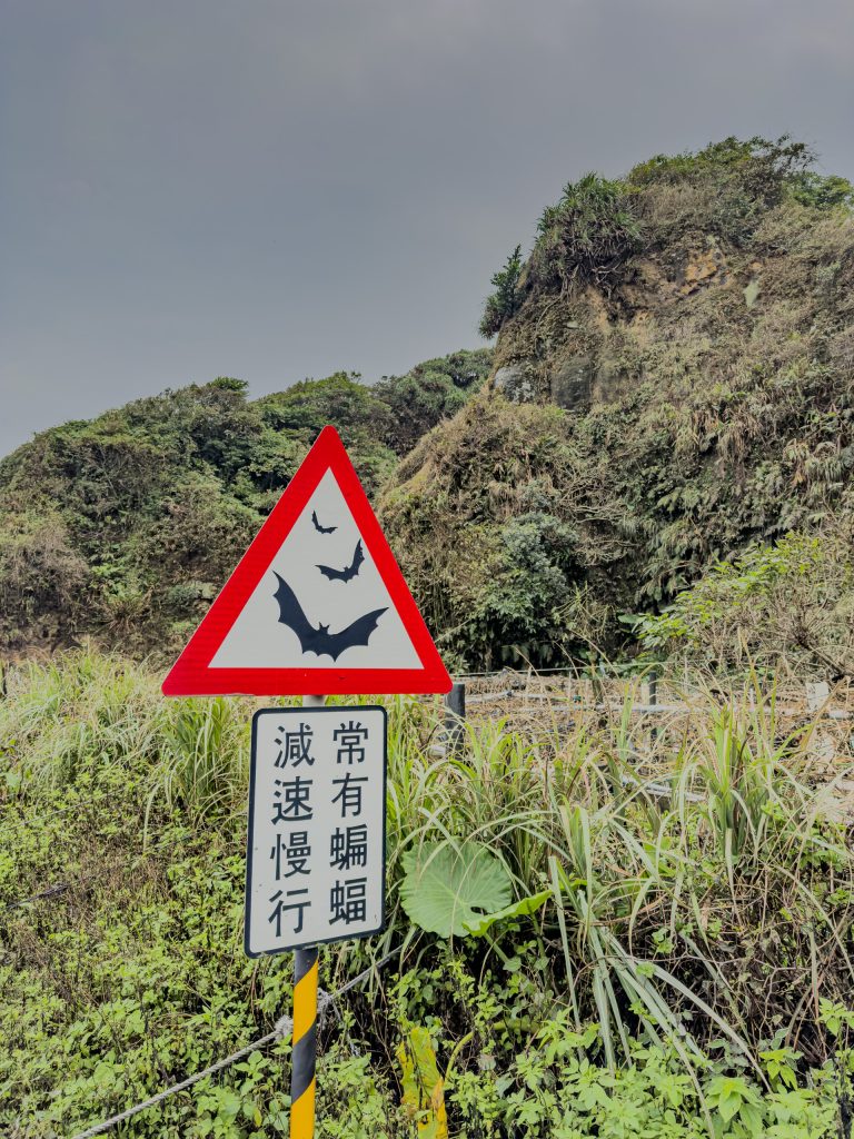 Taiwans Ostküste Reiseerfahrung