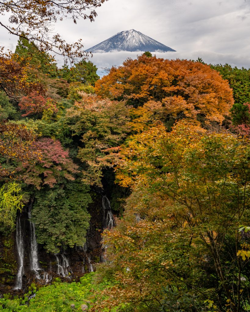 Fuji Herbst Japan