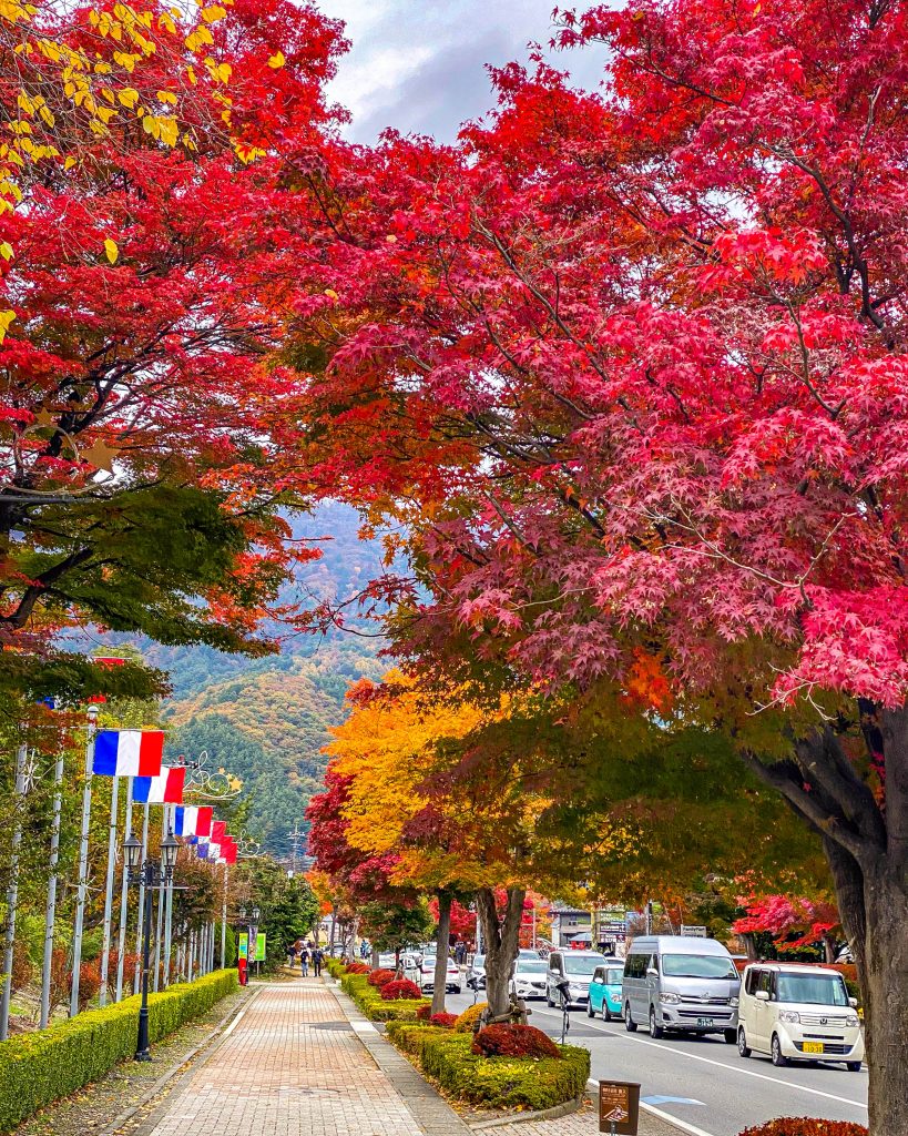 Fuji Herbst Japan
