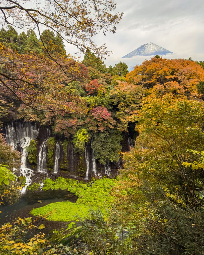 Fuji Herbst Japan