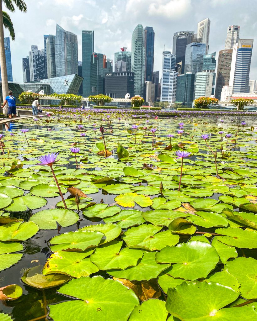 Singapur Reisebericht