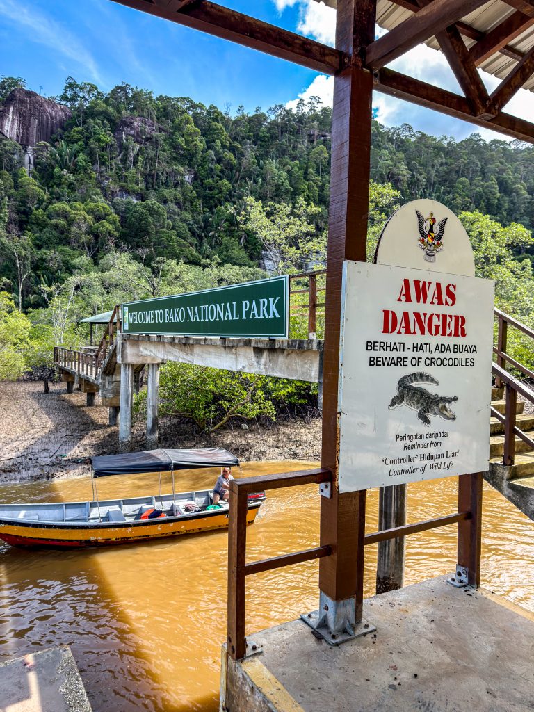 Bako Nationalpark Nasenaffen
