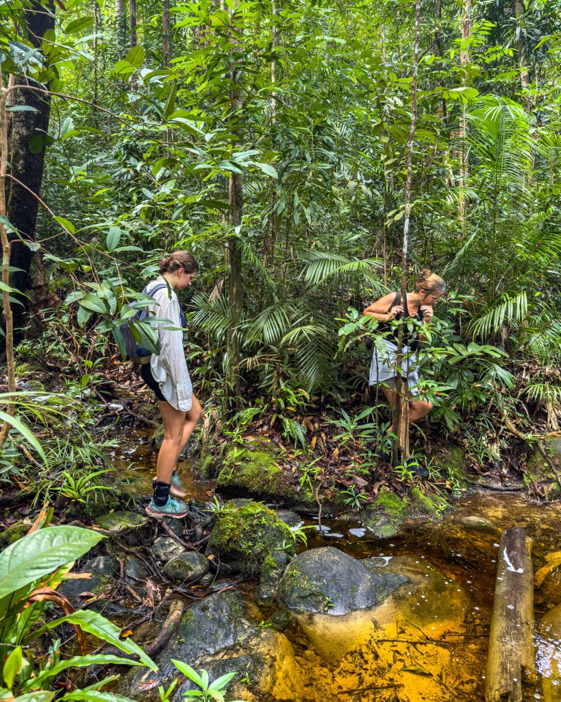 Gunung Santubong Wanderung