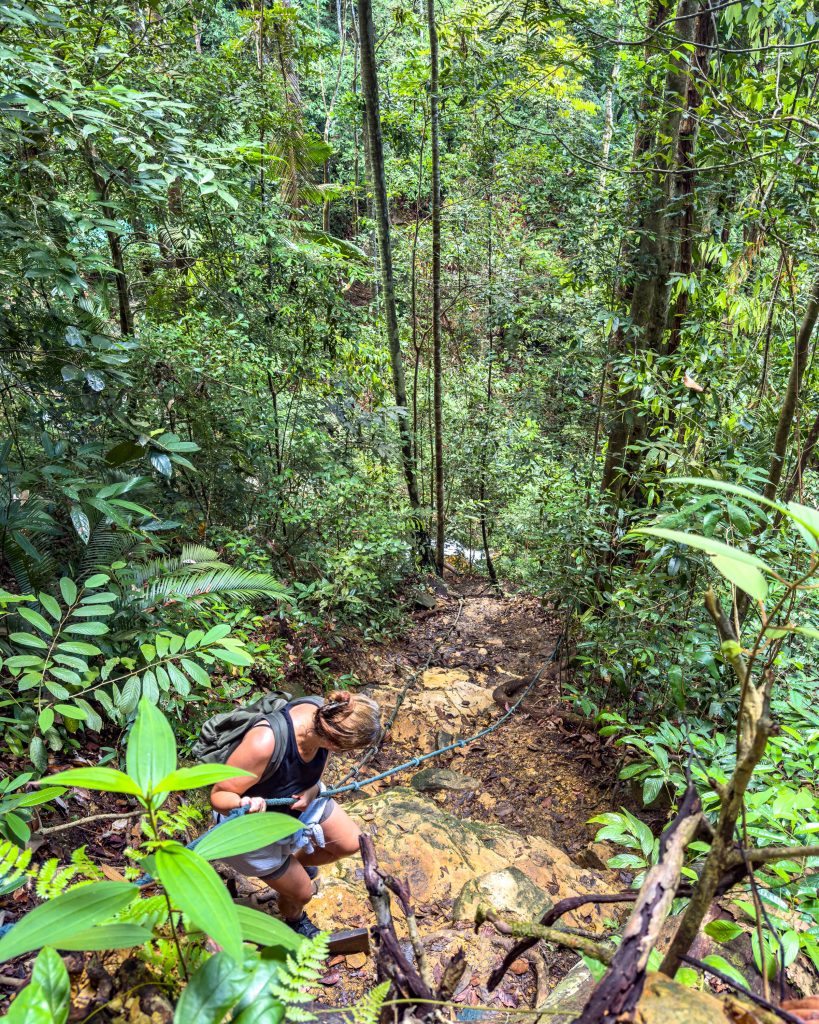 Gunung Santubong Wanderung