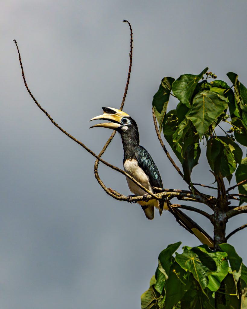 Malaysia Langkawi Erfahrungen