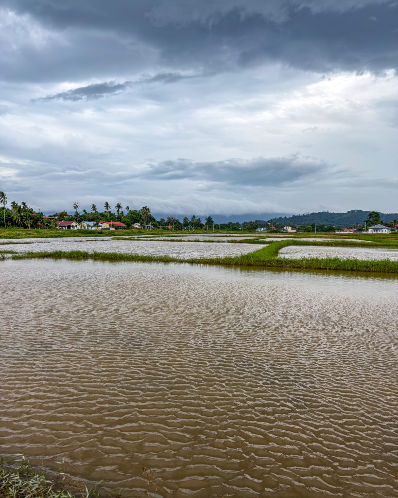 Malaysia Langkawi Erfahrungen