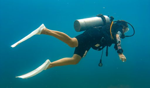 tauchen lombok erfahrung