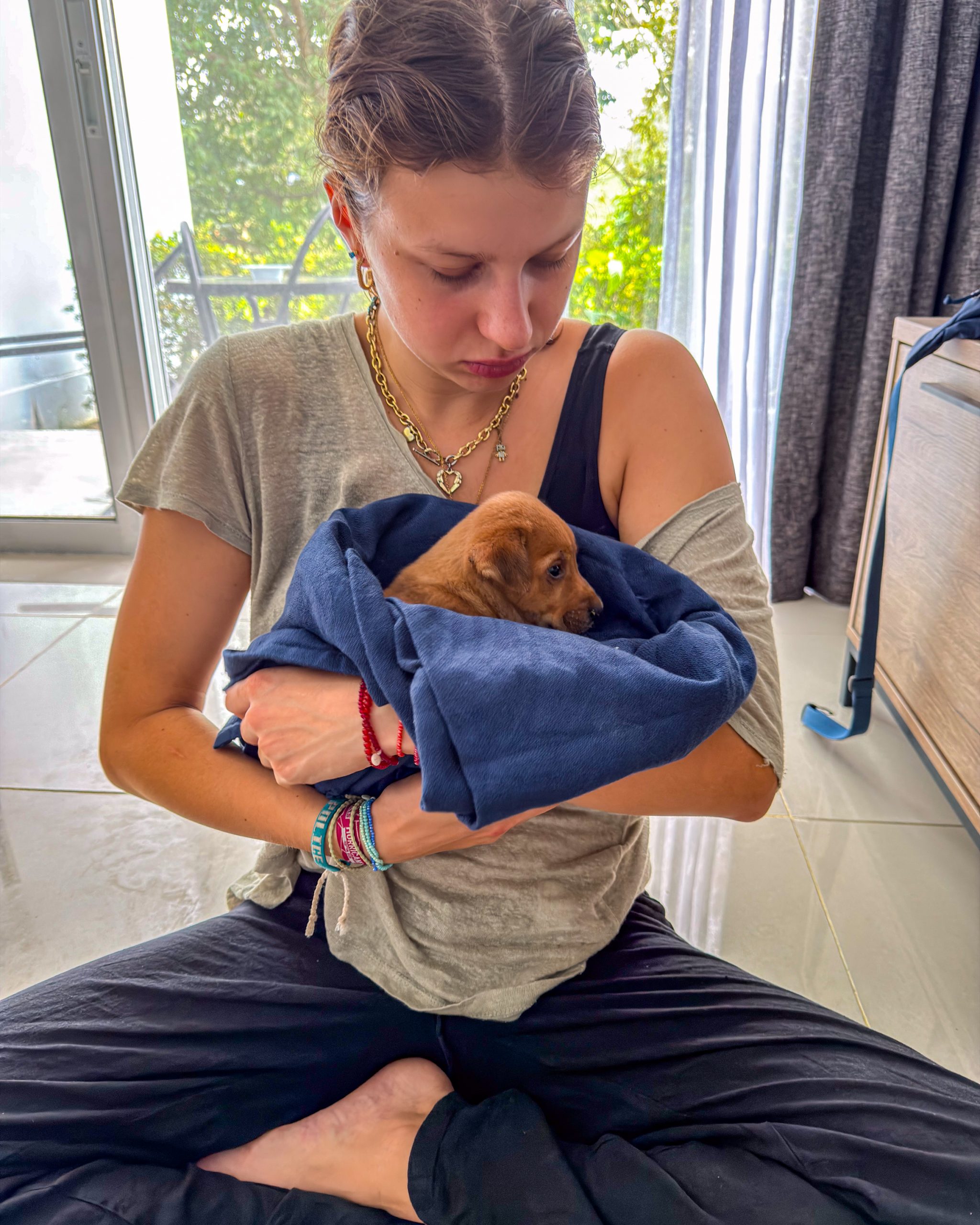 Ein unerwarteter Gast in Malaysia: Wie Welpe Papaya unser Herz eroberte