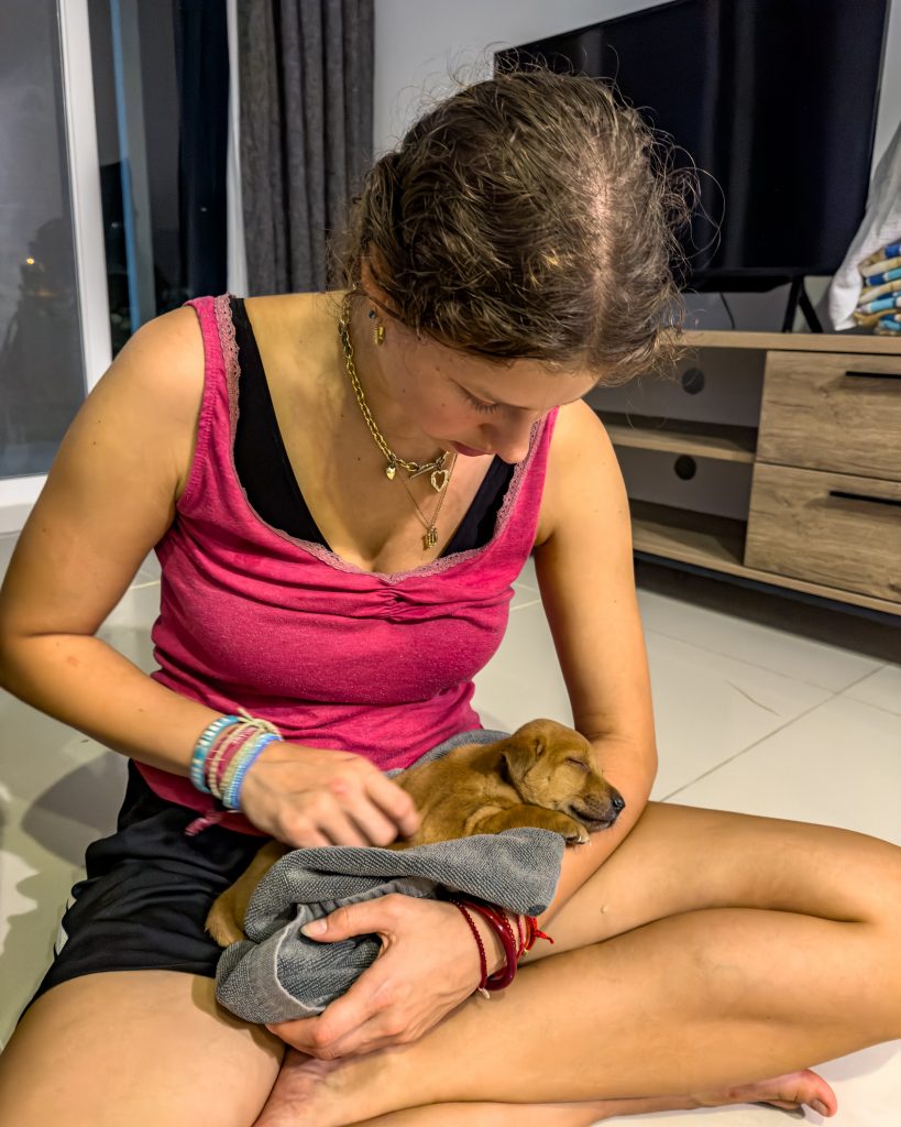 Welpe Malaysia Rettung