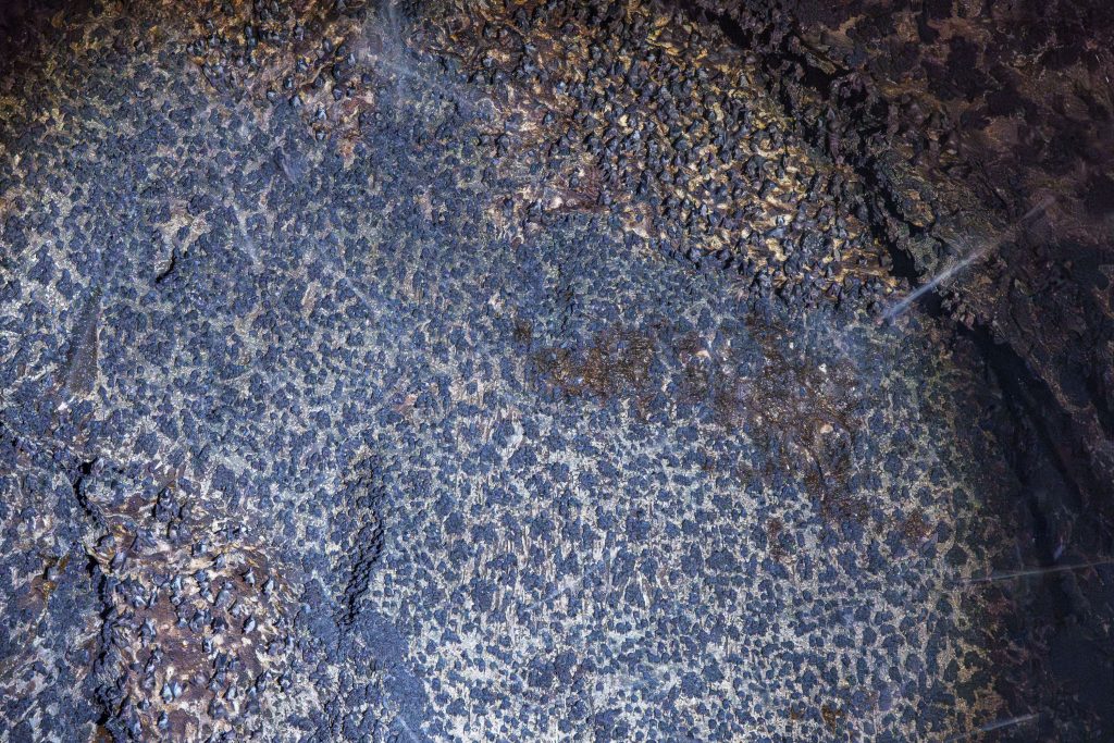 Fledermäuse Lombok Höhle