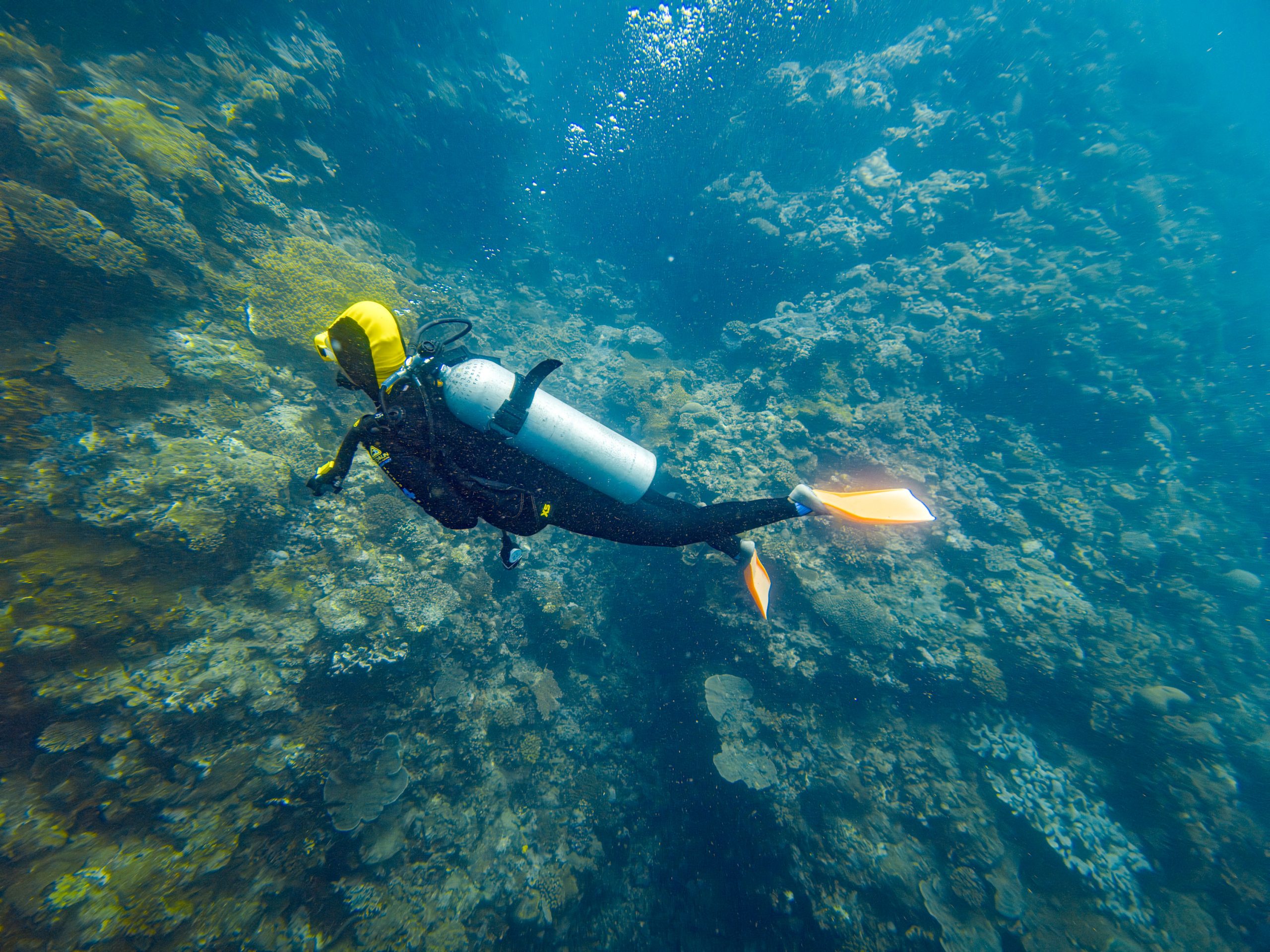 Port Douglas & das Great Barrier Reef – Tauchen zwischen Korallen, Haien und Regenwald