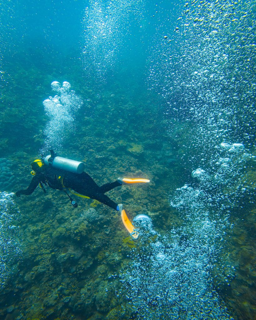 Port Douglas Great Barrier Reef